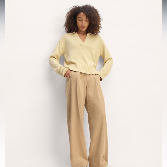 Everlane Boxy Polo in Everyday Cotton in “Parsnip” - Picture 3 of 6